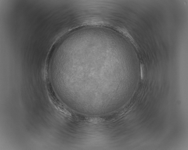 X0000074040579200609061210