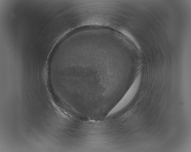 X0000074040580200609061210