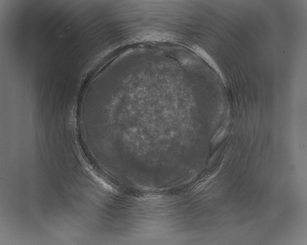 X0000074040581200609061210