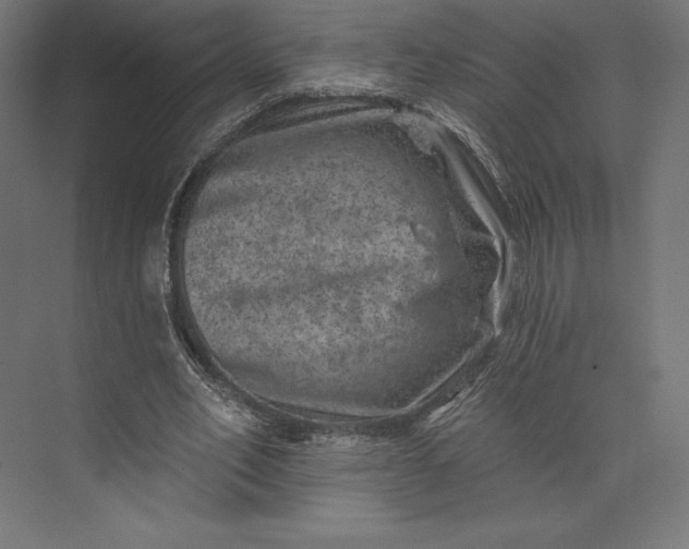 X0000074040582200609061210