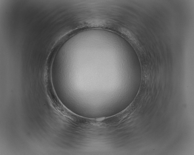 X0000074040583200609061210