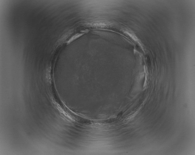 X0000074040585200609061210