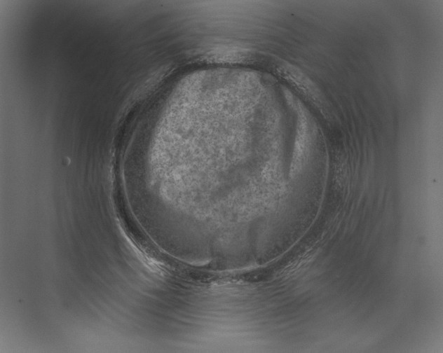 X0000074040586200609061210