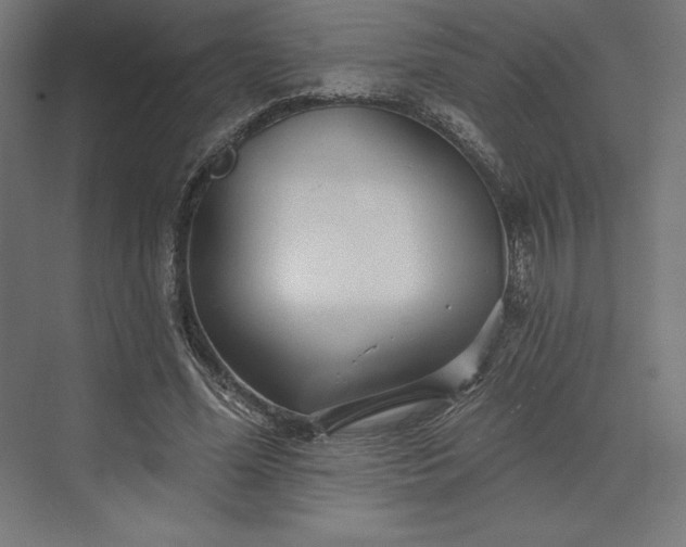 X0000074040588200609061210