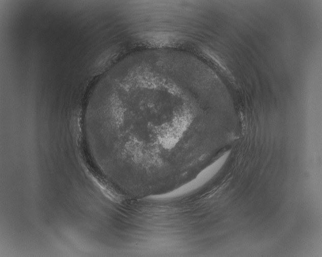 X0000074040590200609061210