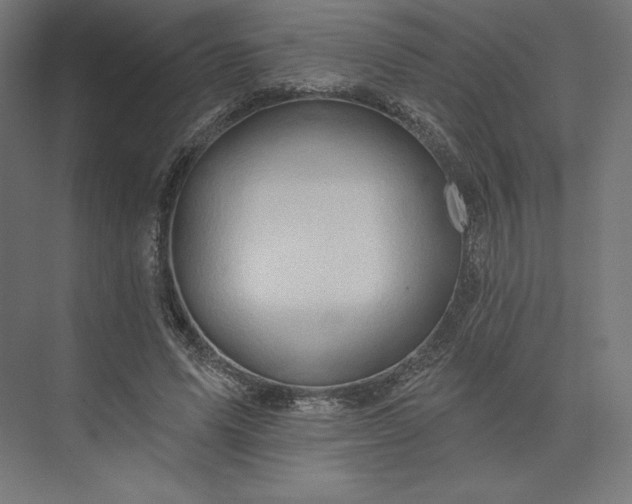 X0000074040591200609061210