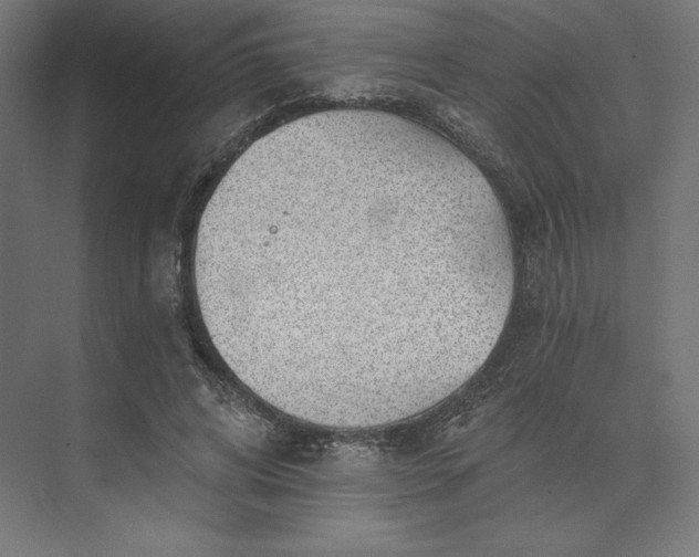 X0000074040592200609061210