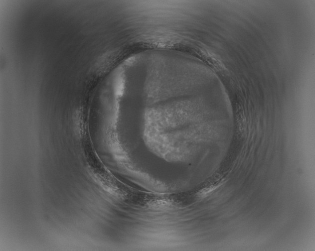 X0000074040594200609061209