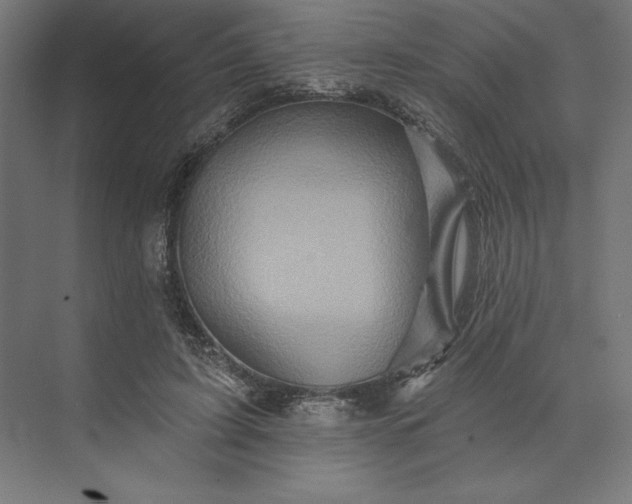 X0000074040595200609061209