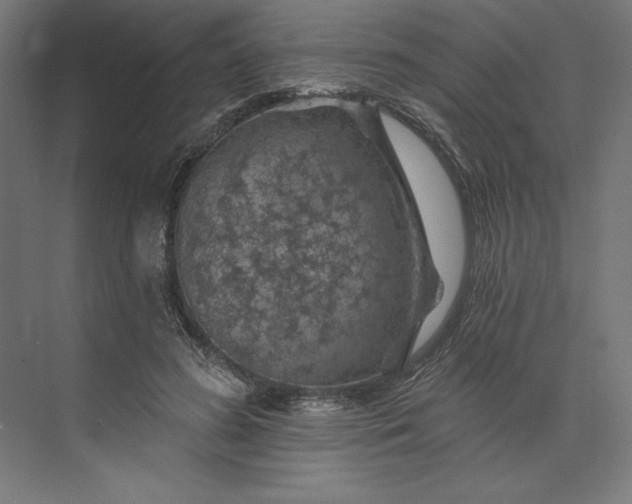 X0000074040596200609061209