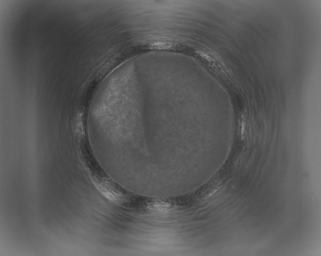 X0000074040598200609061209