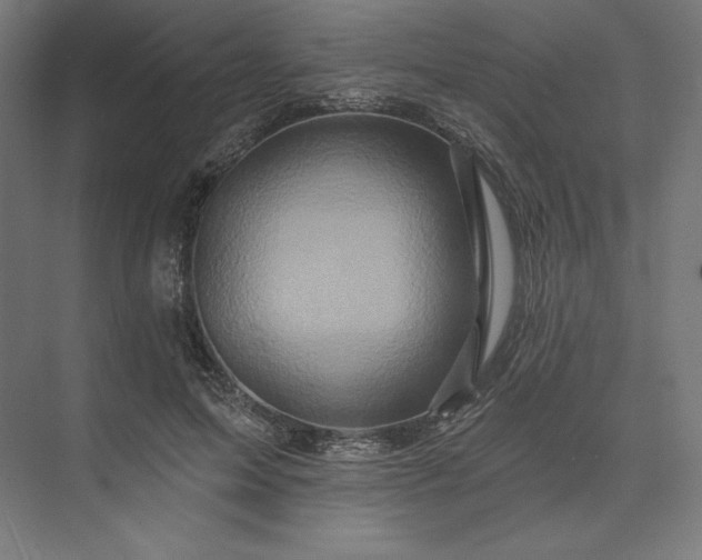 X0000074040599200609061209