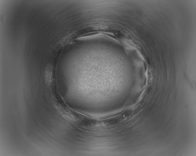 X0000074040600200609061209