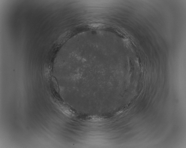 X0000074040601200609061209