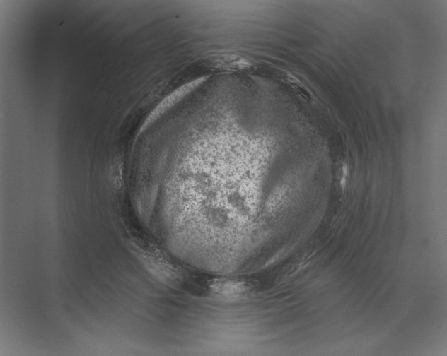 X0000074040602200609061209