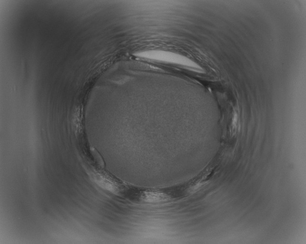 X0000074040605200609061209