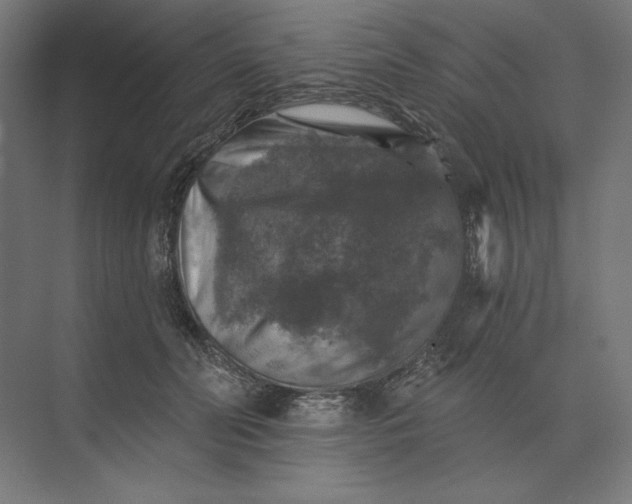 X0000074040606200609061209