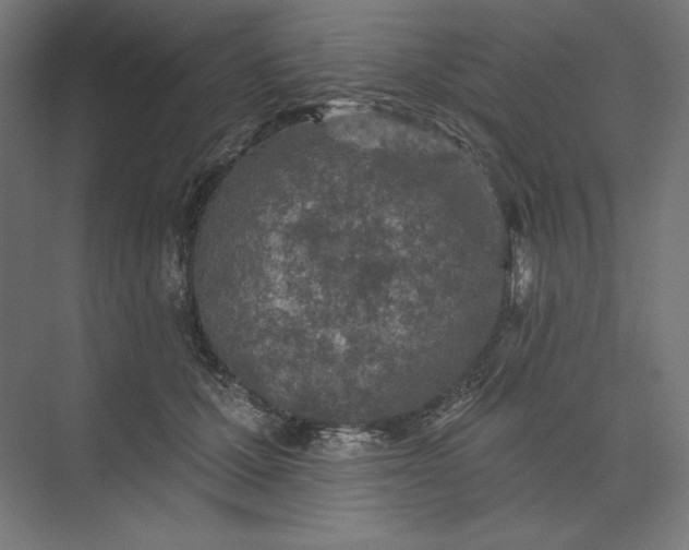 X0000074040607200609061209