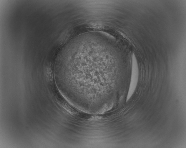 X0000074040609200609061209