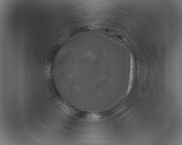 X0000074040610200609061209