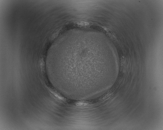 X0000074040614200609061209