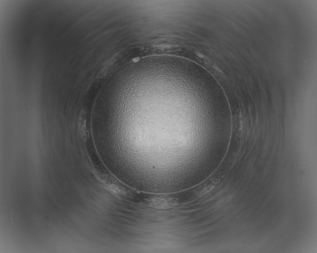 X0000074040615200609061209