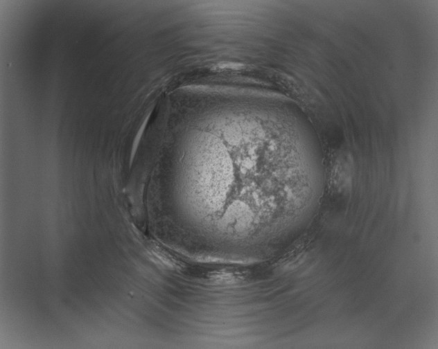 X0000074040616200609061209