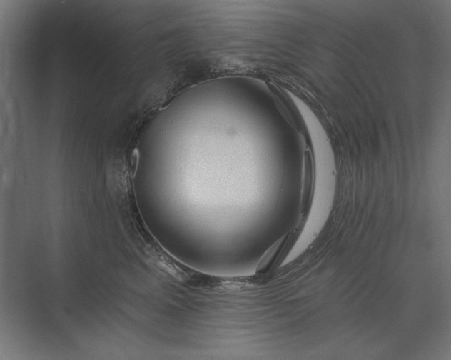 X0000074040617200609061209