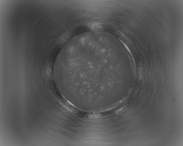 X0000074040618200609061209