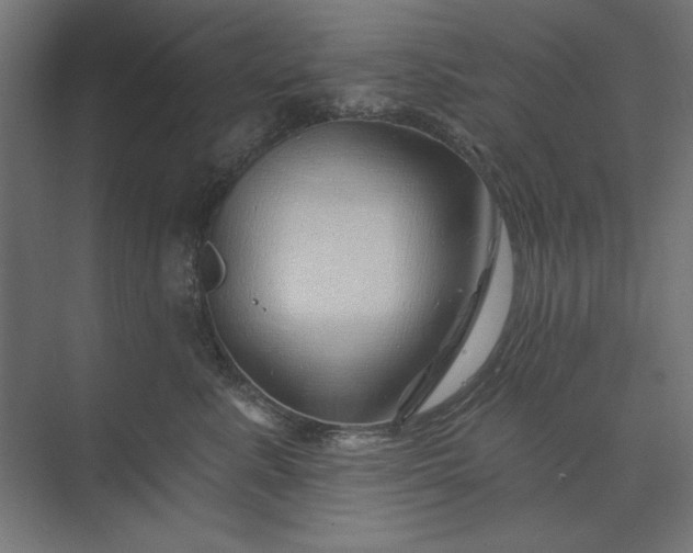 X0000074040619200609061209