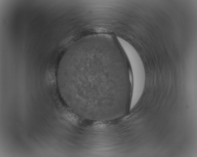 X0000074040620200609061209