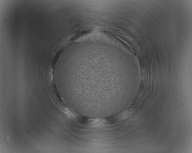 X0000074040621200609061209