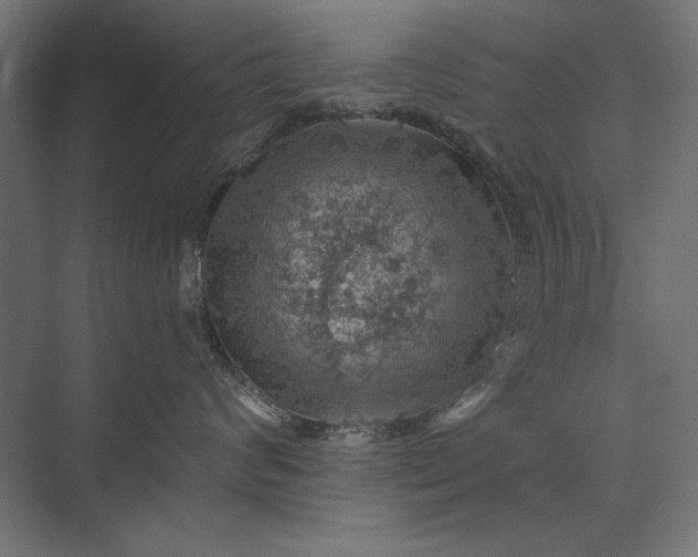 X0000074040624200609061209