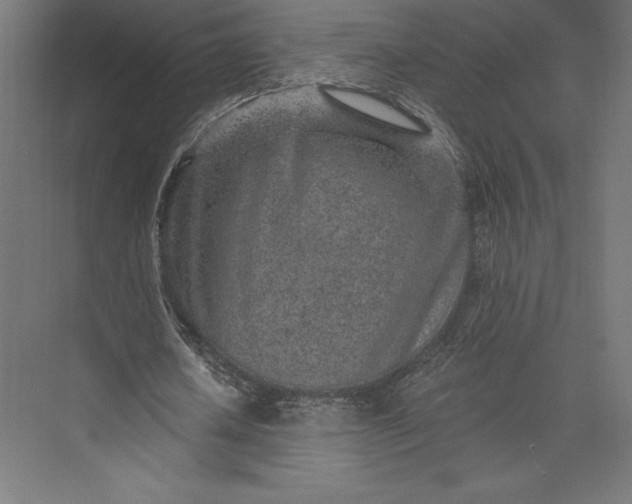 X0000074040626200609061208