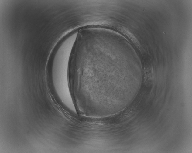 X0000074040628200609061208