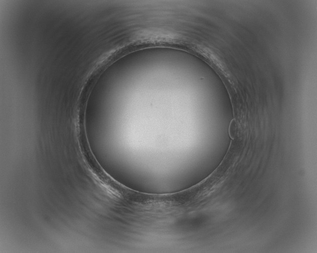 X0000074040629200609061208