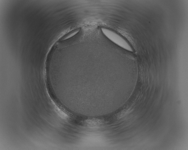 X0000074040630200609061208