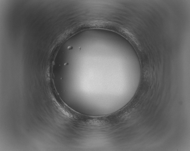 X0000074040633200609061208