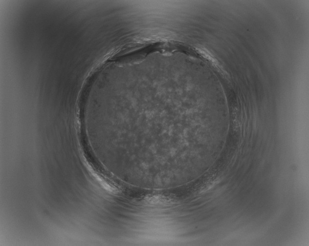 X0000074040634200609061208