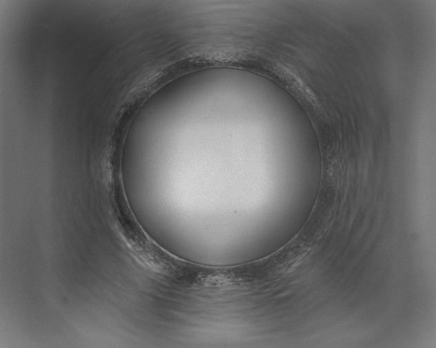 X0000074040635200609061208