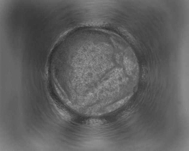 X0000074040636200609061208