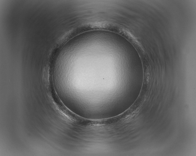 X0000074040637200609061208