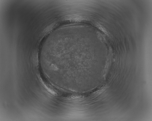 X0000074040638200609061208