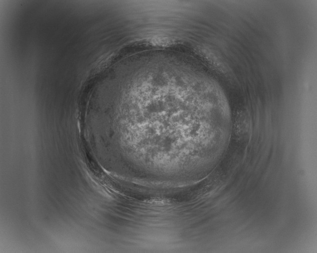 X0000074040639200609061208