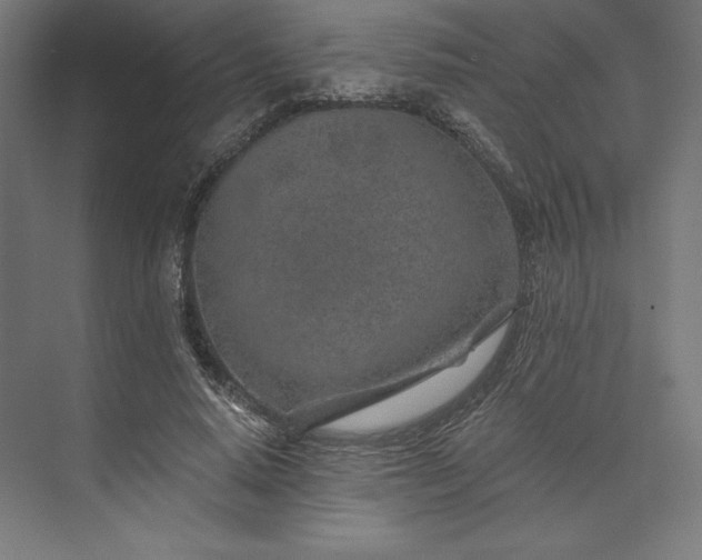 X0000074040640200609061208