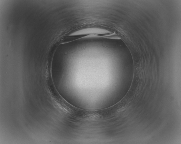 X0000074040642200609061208