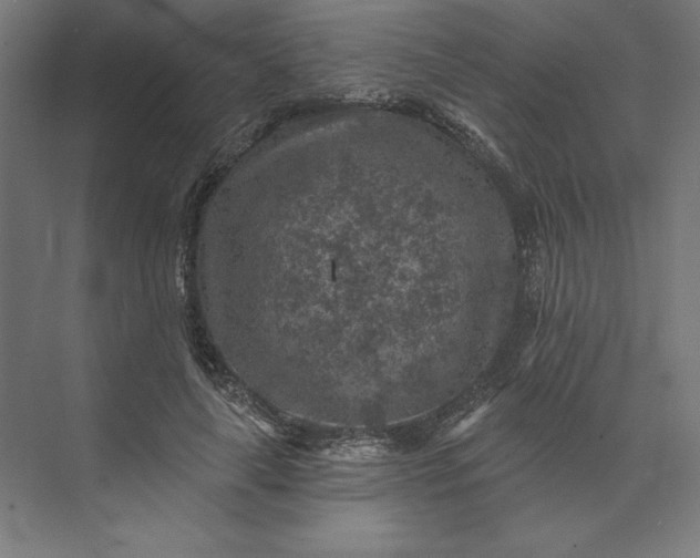 X0000074040643200609061208