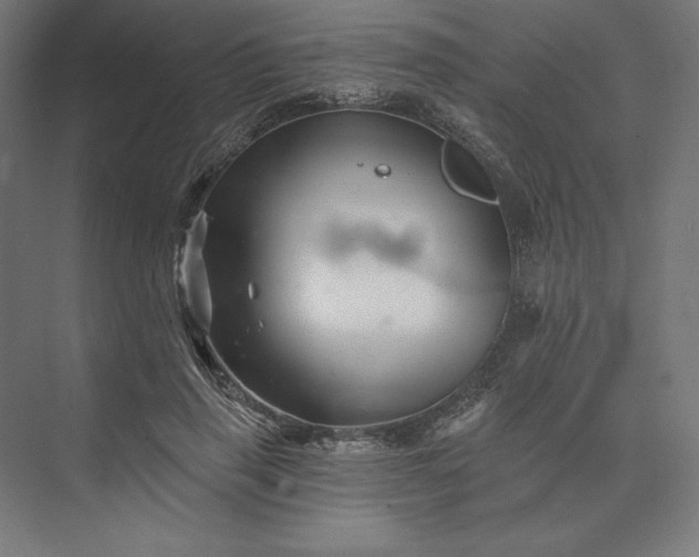 X0000074040645200609061208