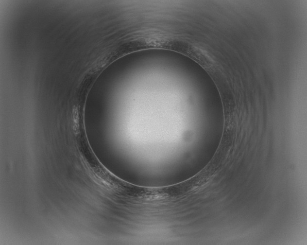 X0000074040646200609061209