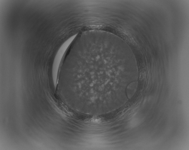 X0000074040647200609061209